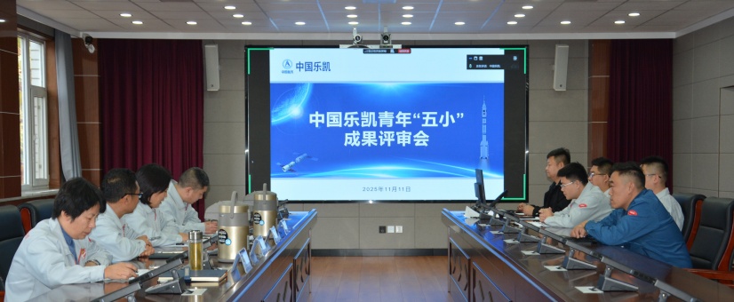 激揚(yáng)青春智造力！中國(guó)樂(lè)凱團(tuán)委召開(kāi)青年“五小”成果評(píng)審會(huì)
